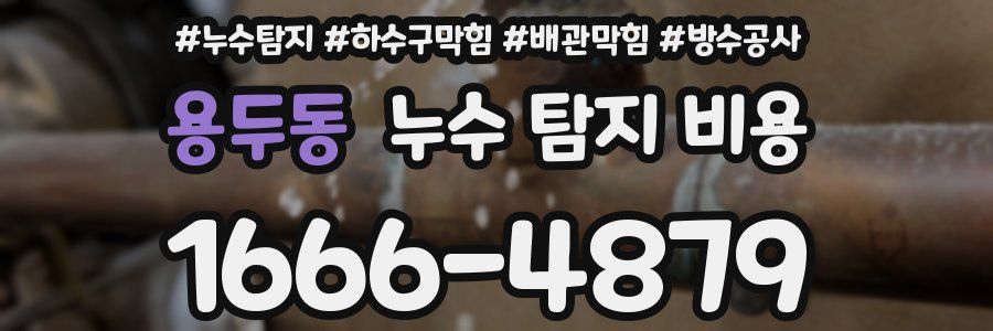 용두동 누수 탐지 비용