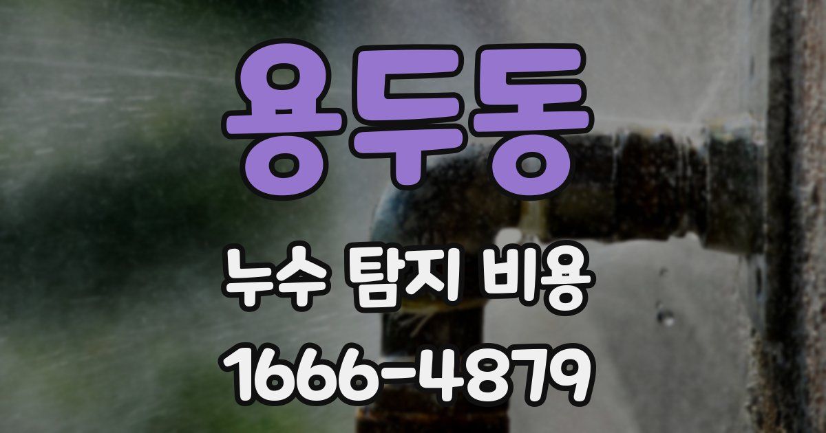 용두동 누수 탐지 비용