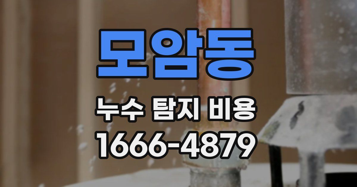모암동 누수 탐지 비용