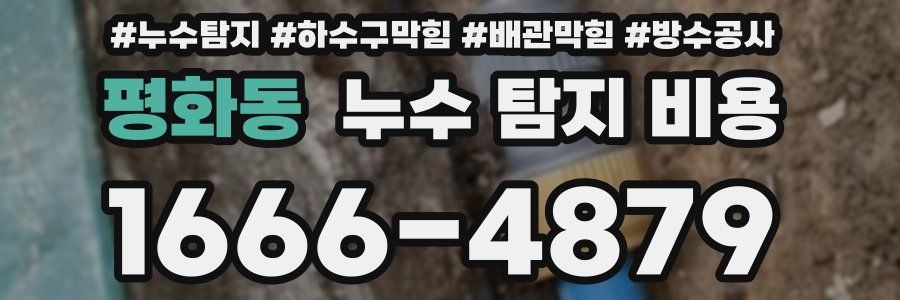 평화동 누수 탐지 비용