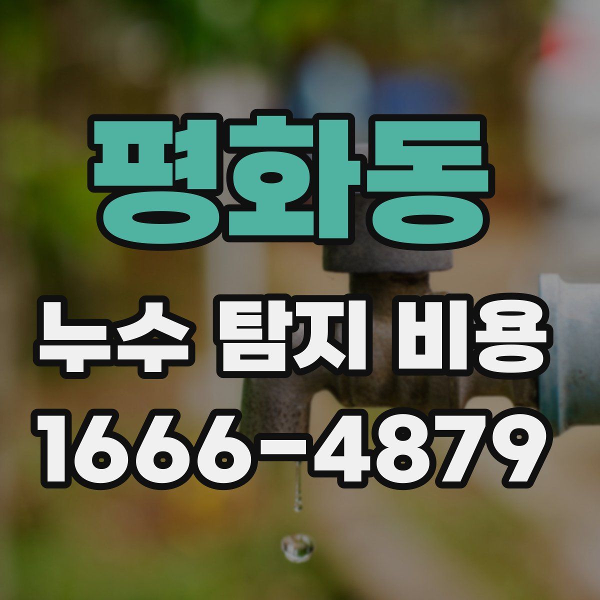 평화동 누수 탐지 비용
