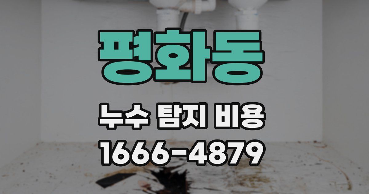 평화동 누수 탐지 비용