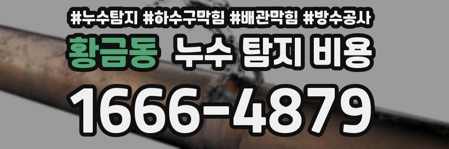 황금동 누수 탐지 비용