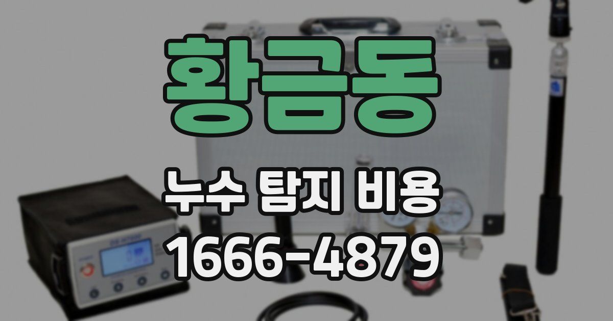 황금동 누수 탐지 비용
