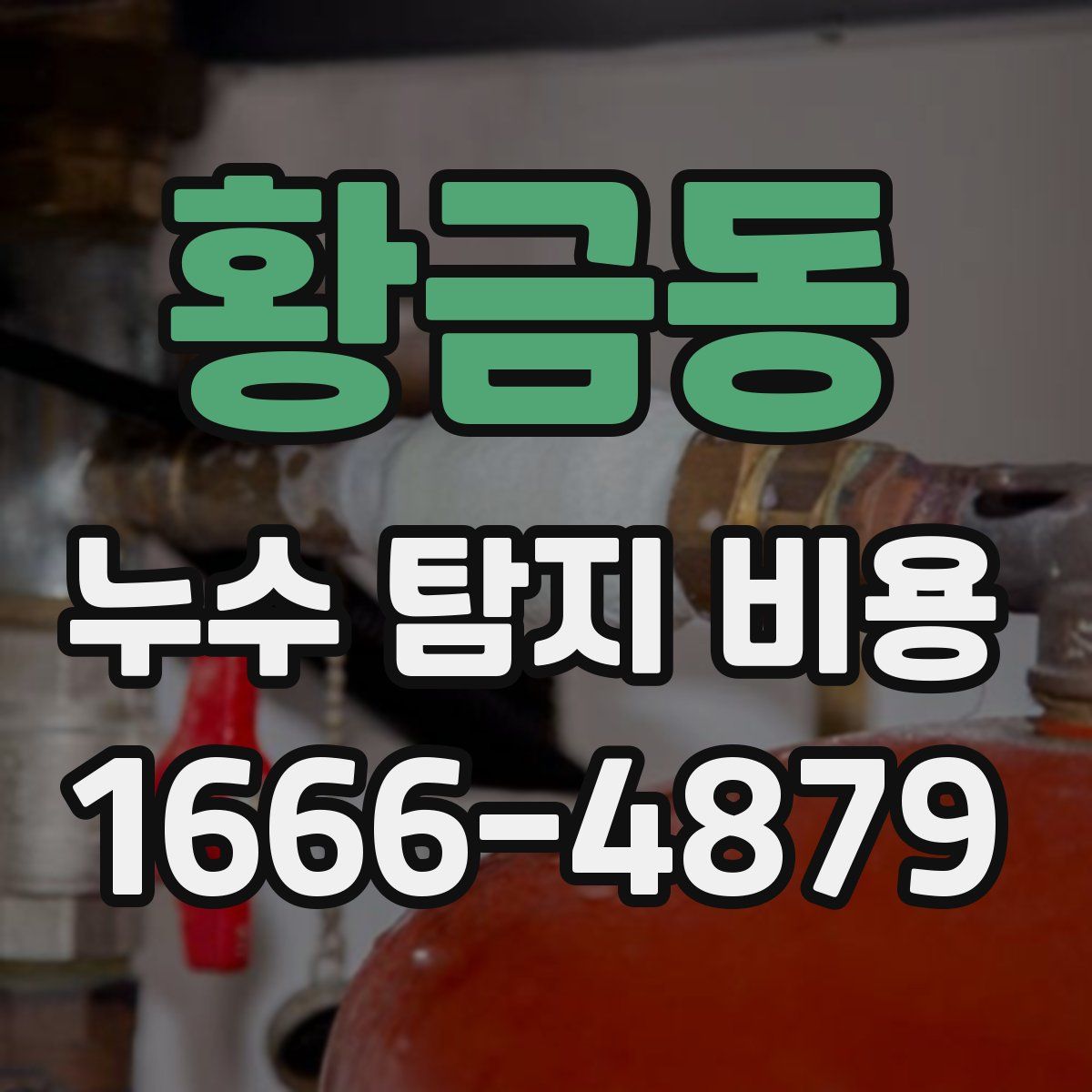 황금동 누수 탐지 비용