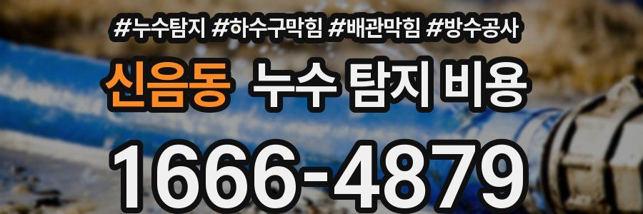 신음동 누수 탐지 비용