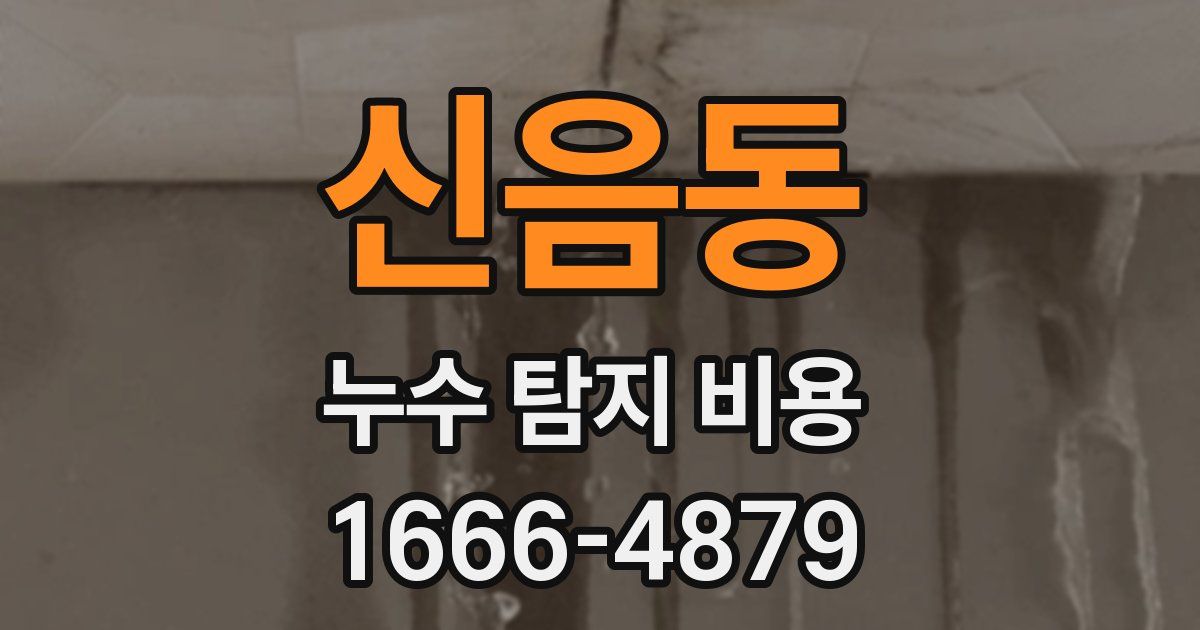 신음동 누수 탐지 비용