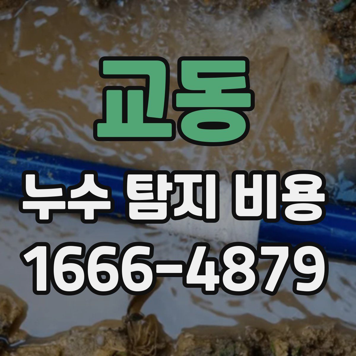 교동 누수 탐지 비용