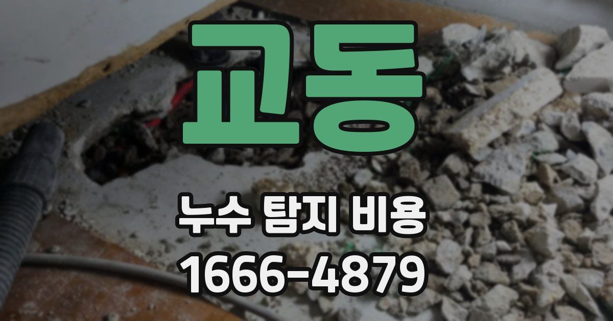 교동 누수 탐지 비용