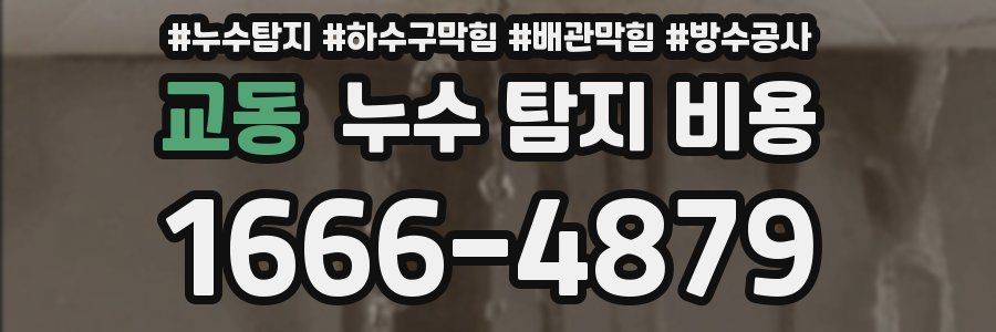 교동 누수 탐지 비용