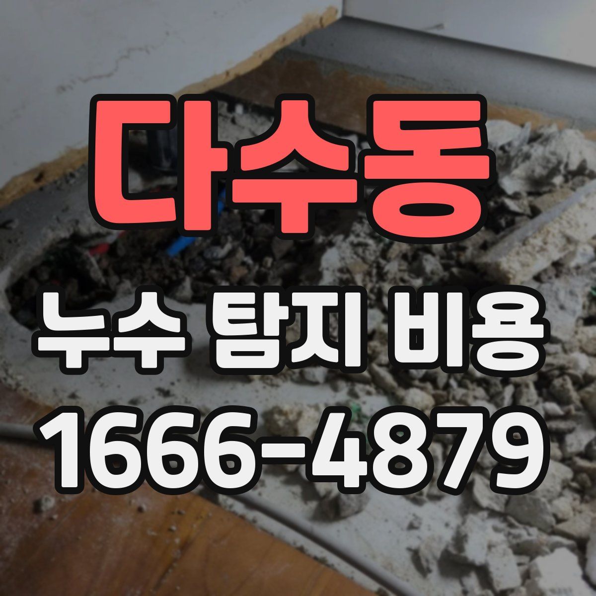 다수동 누수 탐지 비용