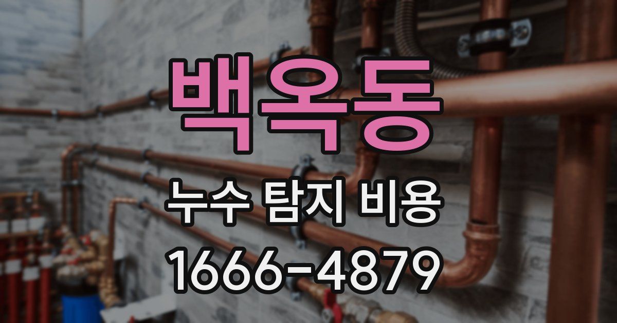 백옥동 누수 탐지 비용