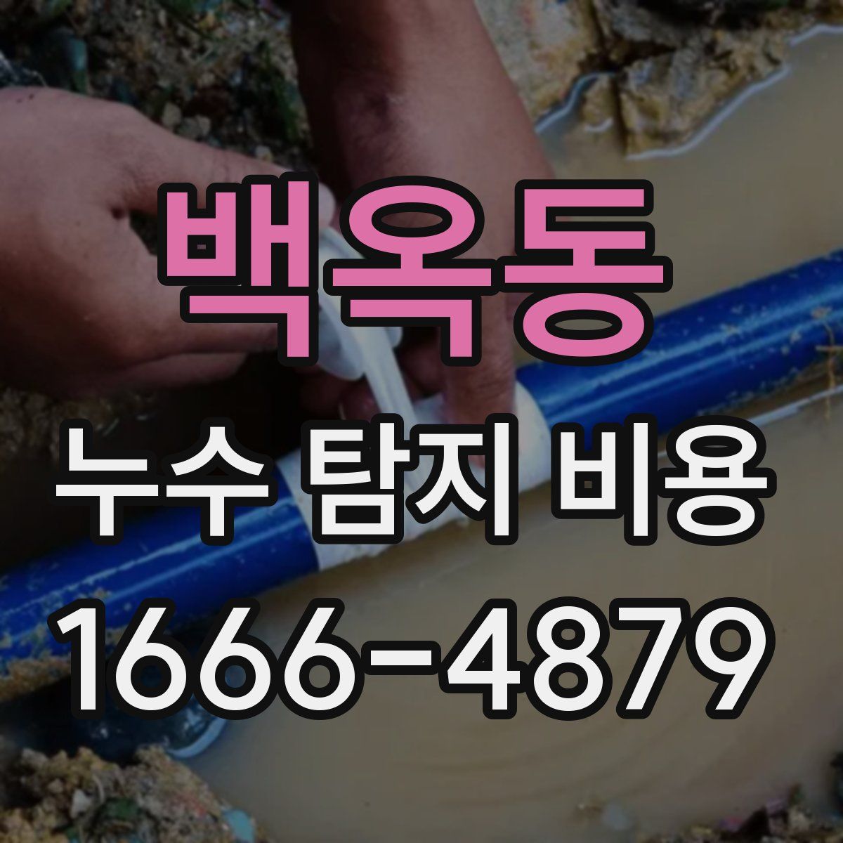 백옥동 누수 탐지 비용