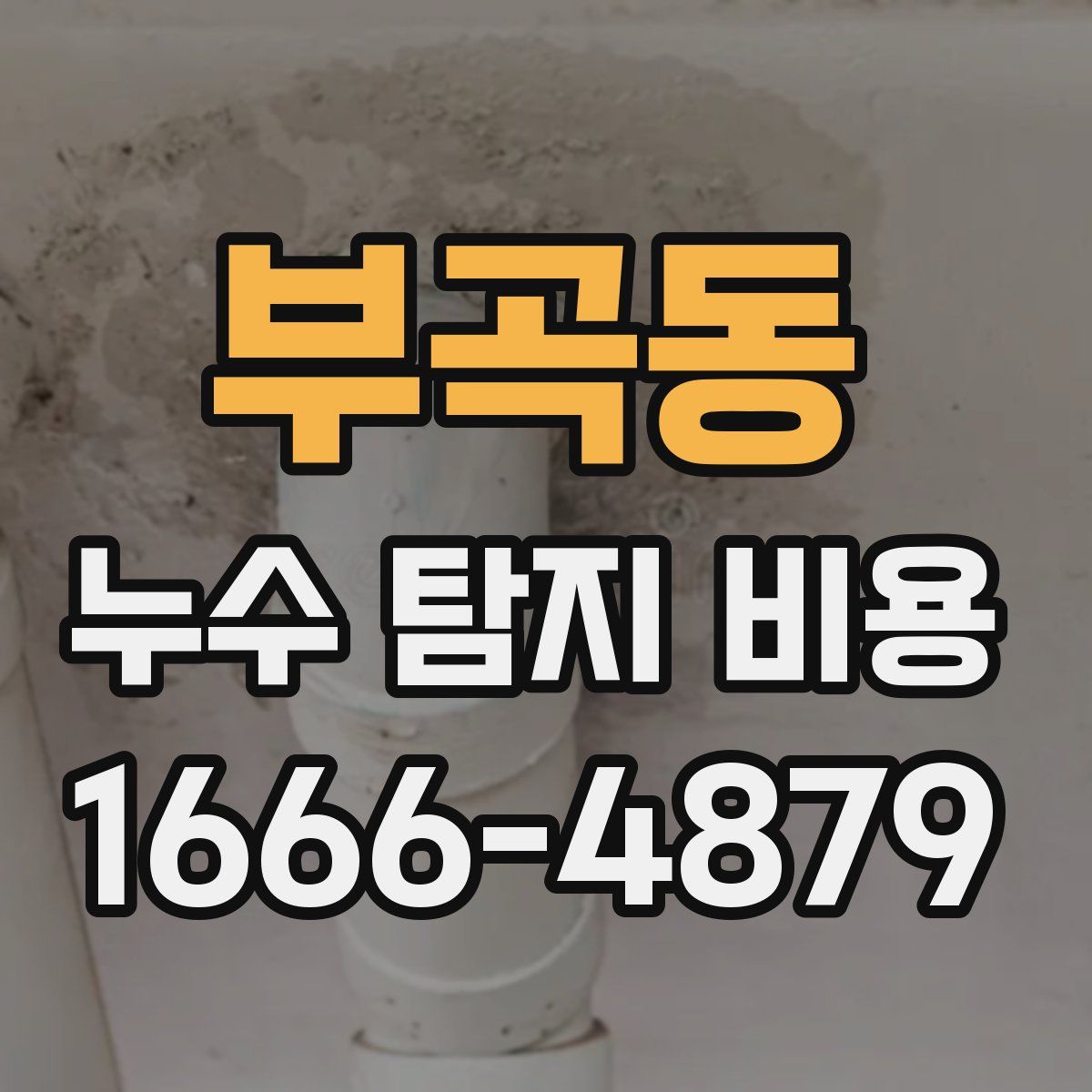 부곡동 누수 탐지 비용