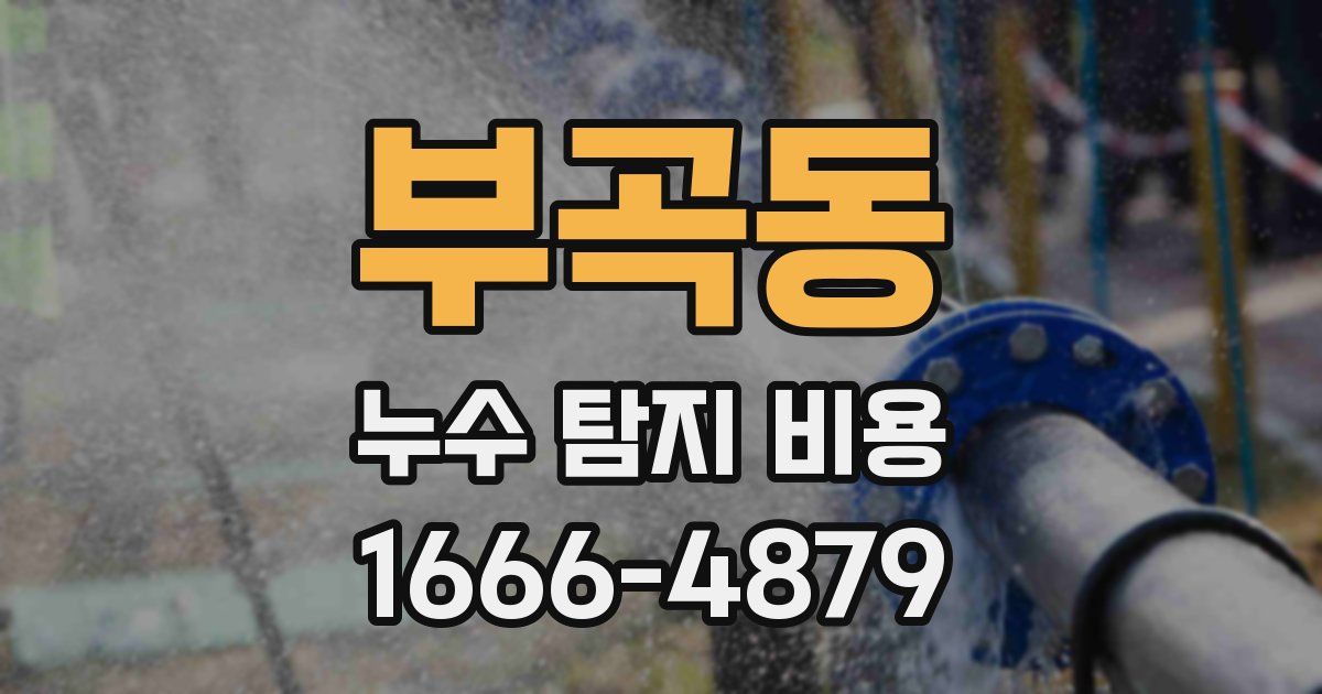 부곡동 누수 탐지 비용