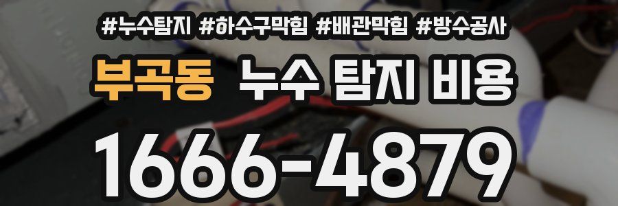 부곡동 누수 탐지 비용