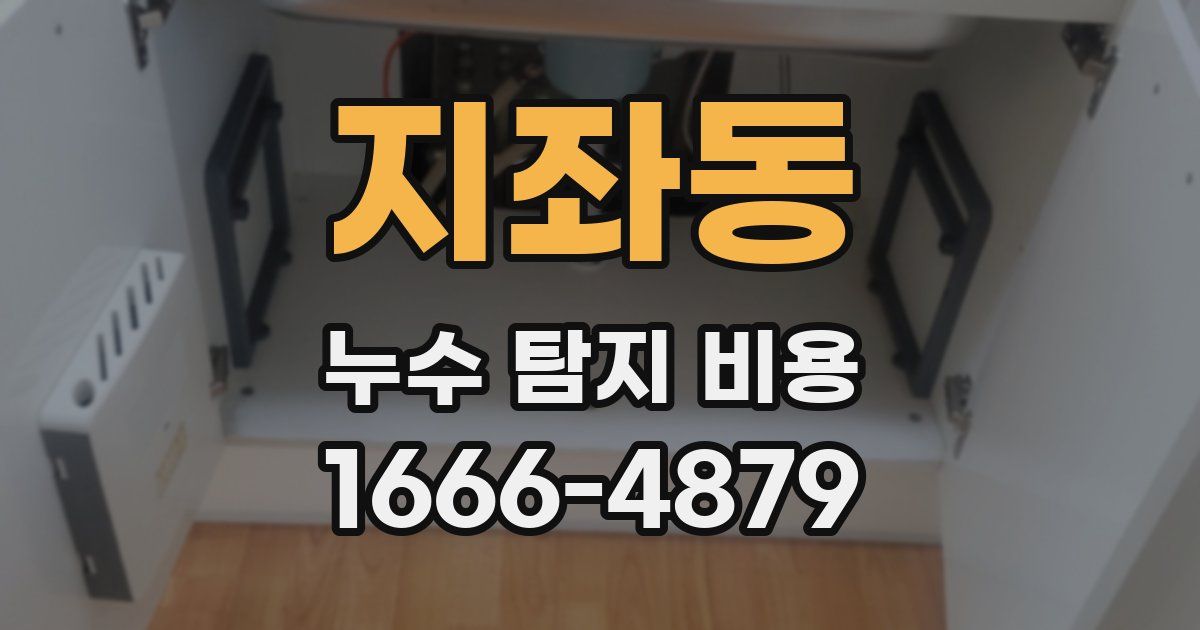 지좌동 누수 탐지 비용