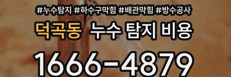 덕곡동 누수 탐지 비용