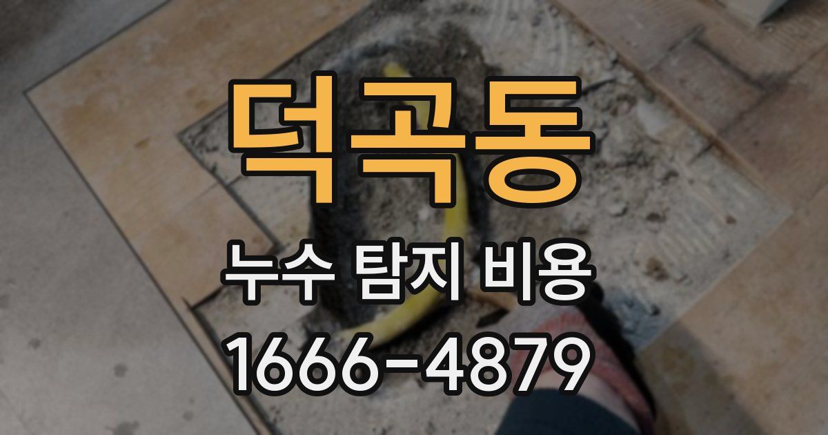 덕곡동 누수 탐지 비용