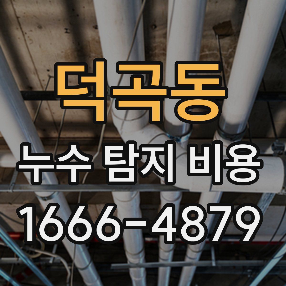 덕곡동 누수 탐지 비용