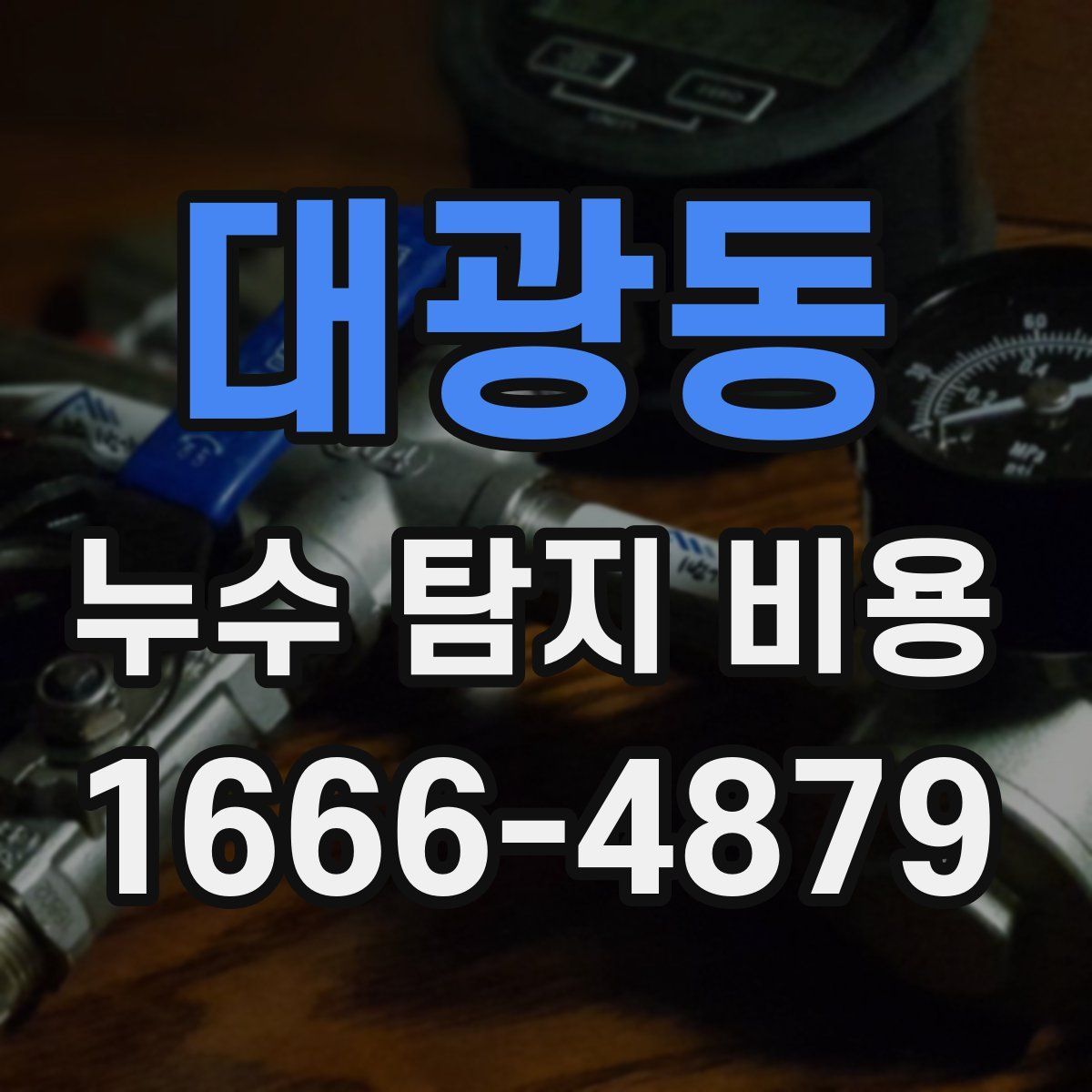 대광동 누수 탐지 비용
