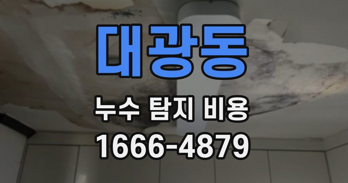 대광동 누수 탐지 비용