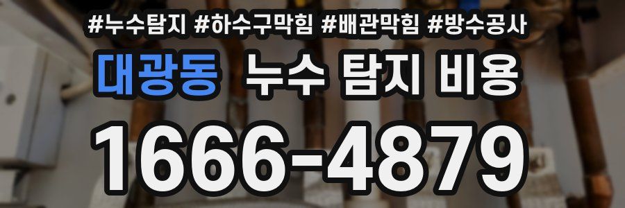 대광동 누수 탐지 비용