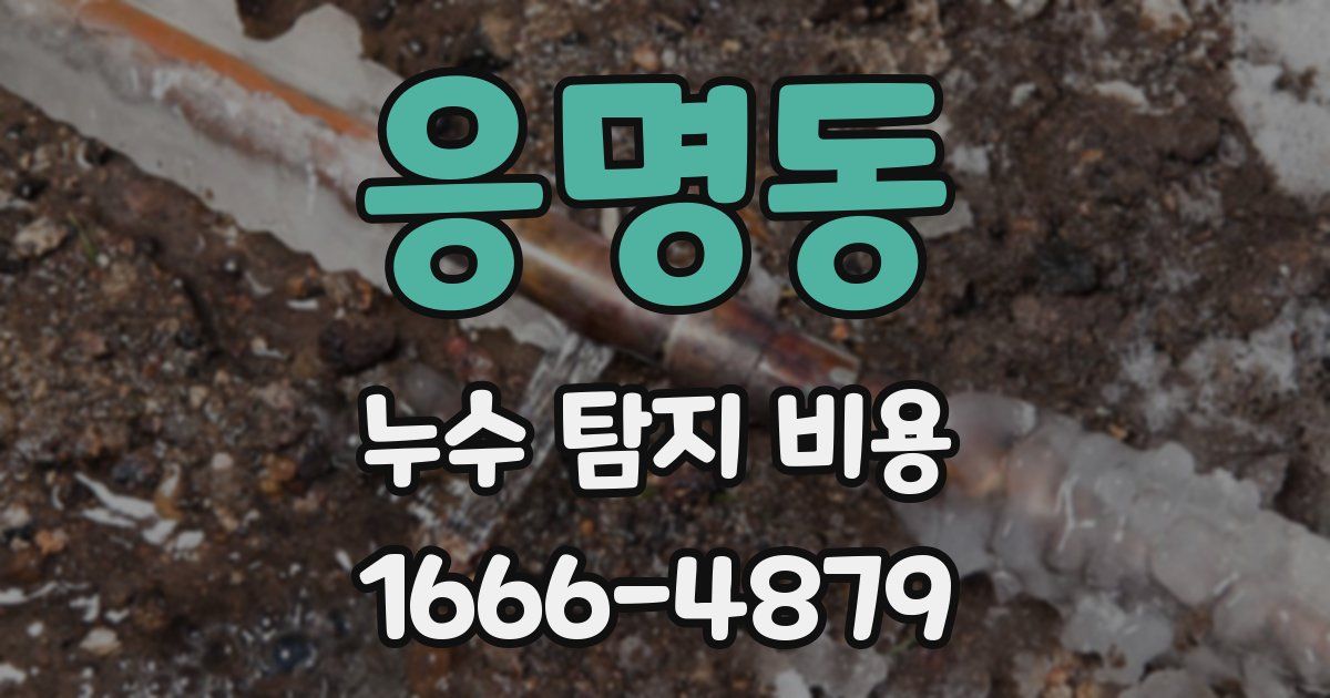 응명동 누수 탐지 비용