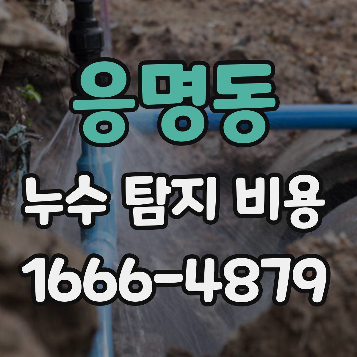 응명동 누수 탐지 비용