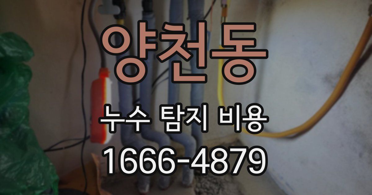 양천동 누수 탐지 비용