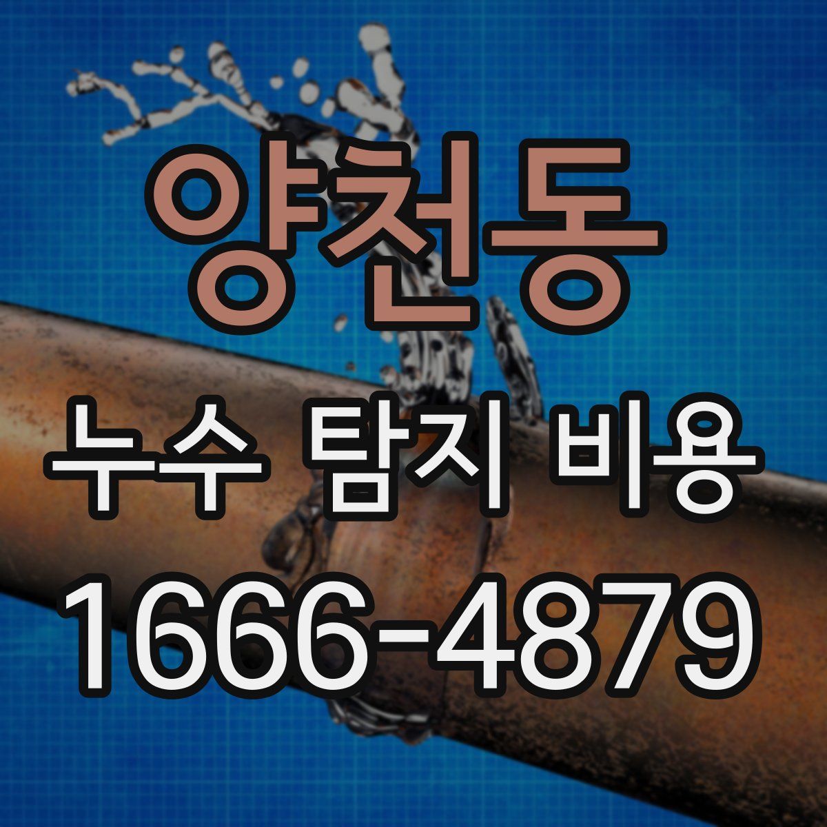 양천동 누수 탐지 비용