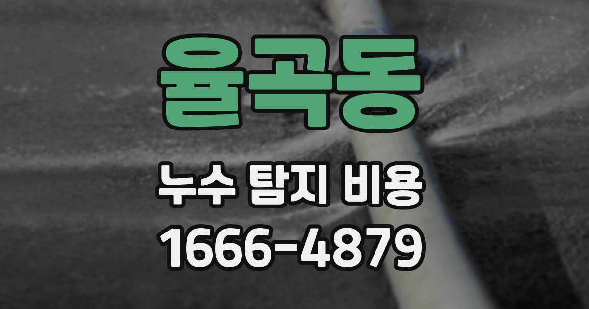 율곡동 누수 탐지 비용