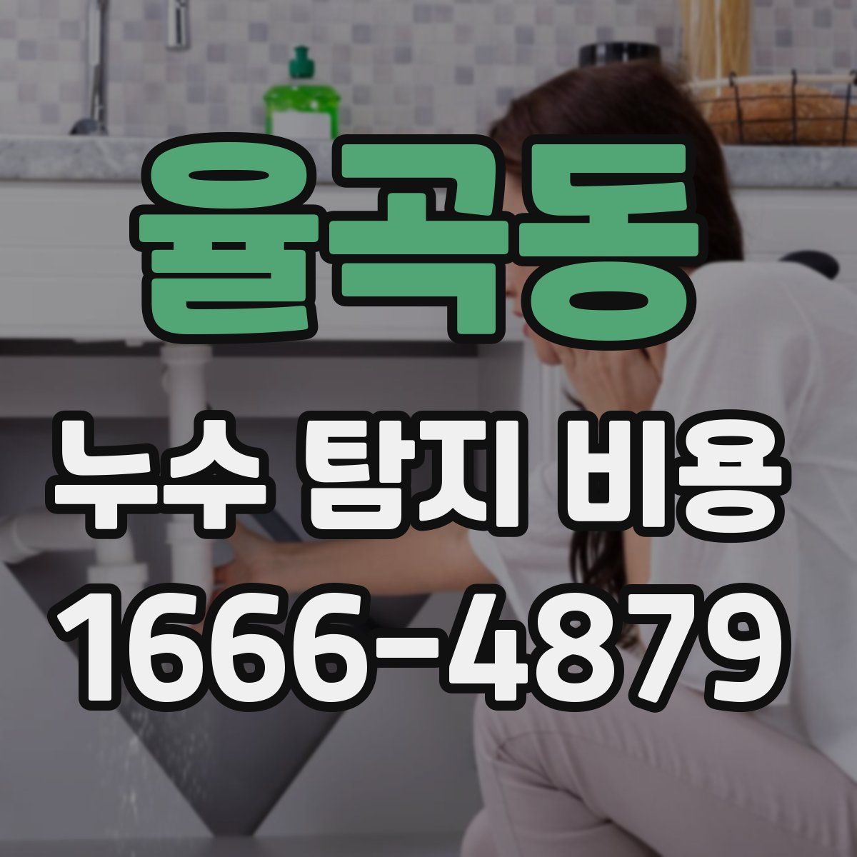 율곡동 누수 탐지 비용