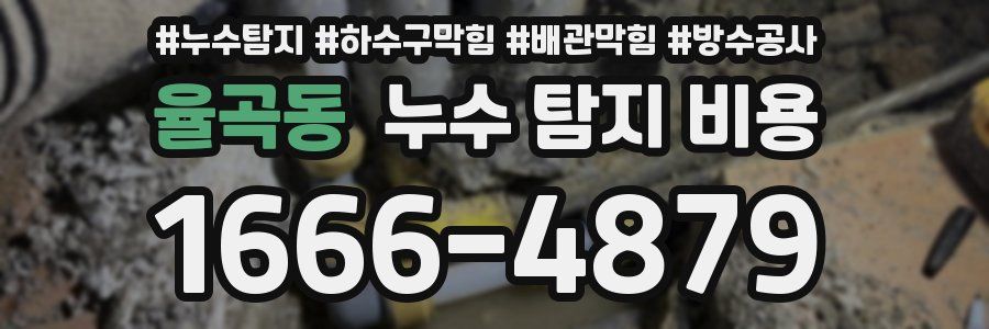 율곡동 누수 탐지 비용
