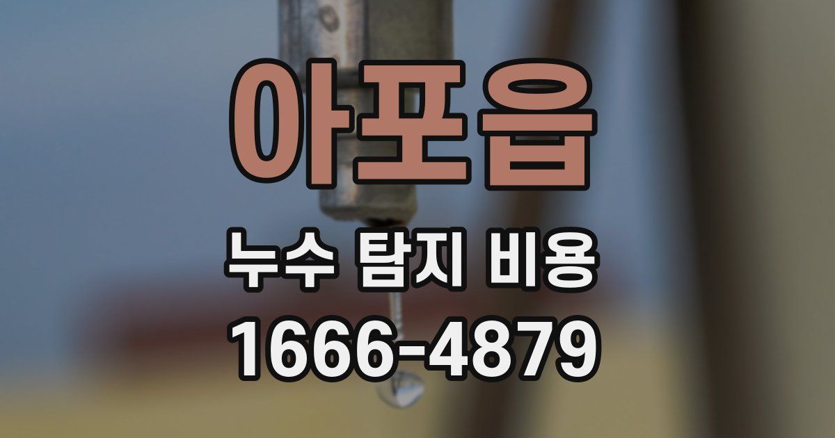 아포읍 누수 탐지 비용