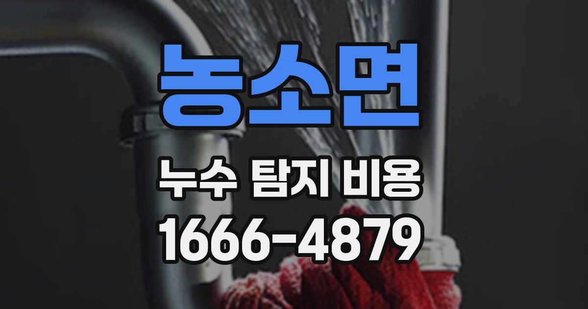 농소면 누수 탐지 비용