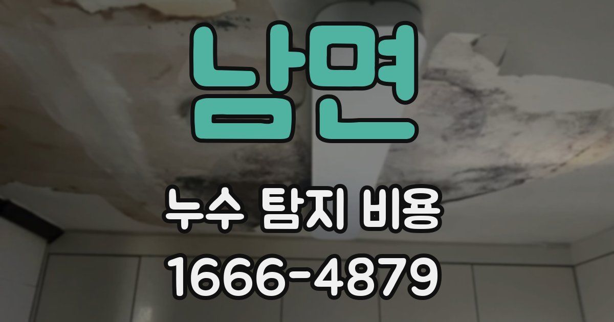 남면 누수 탐지 비용