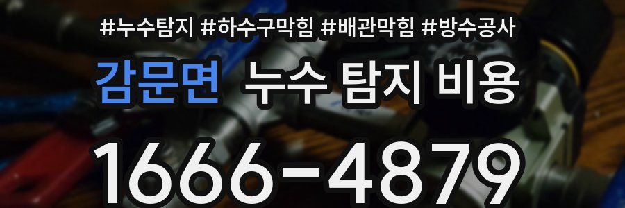 감문면 누수 탐지 비용