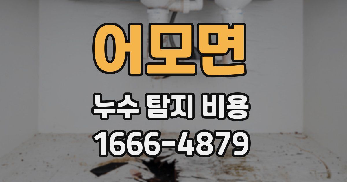 어모면 누수 탐지 비용
