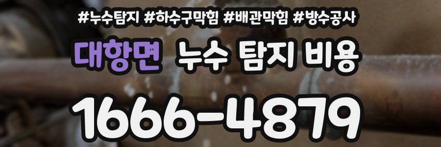 대항면 누수 탐지 비용
