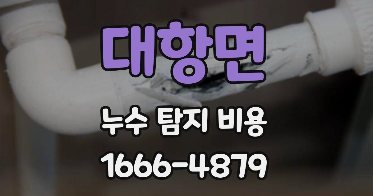 대항면 누수 탐지 비용