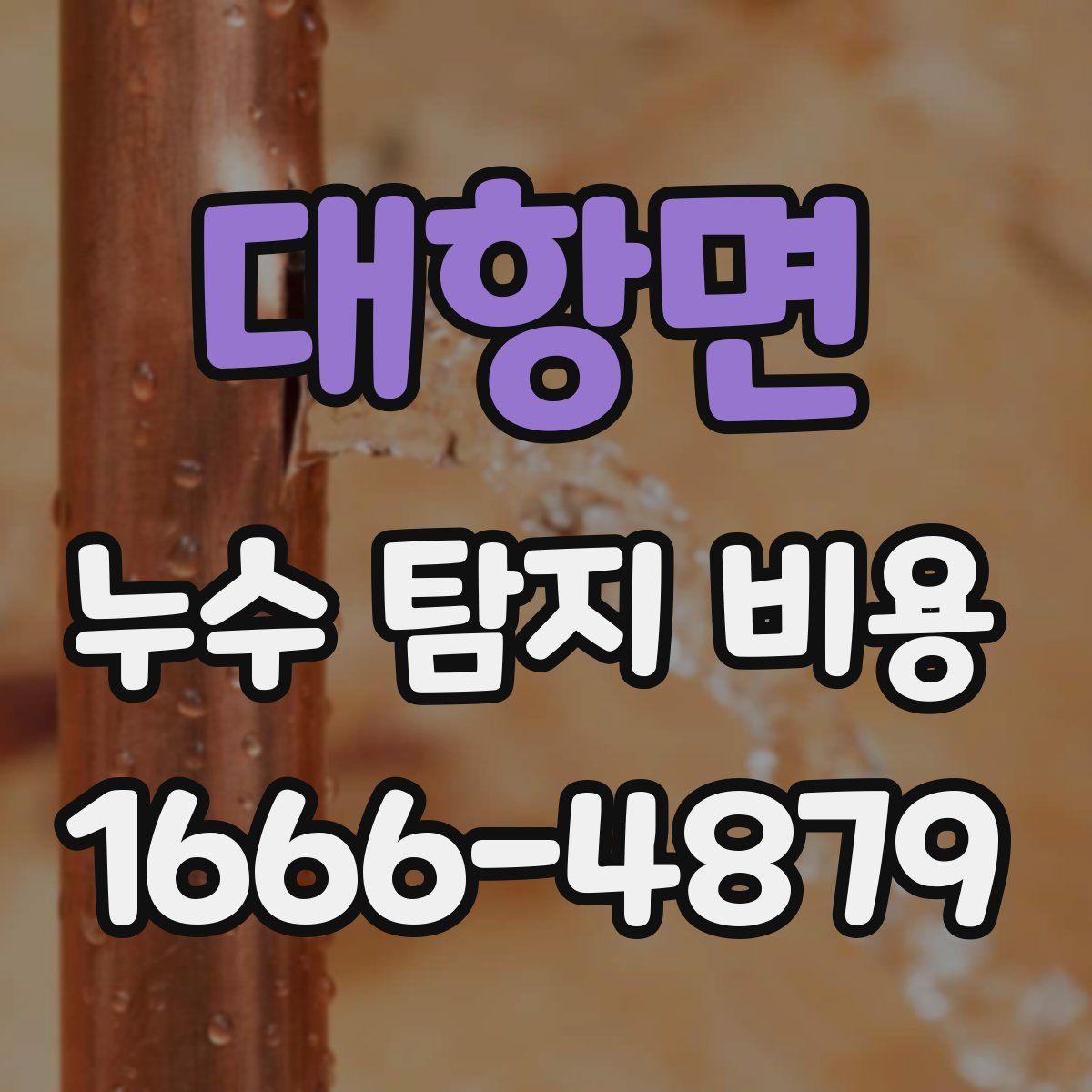 대항면 누수 탐지 비용