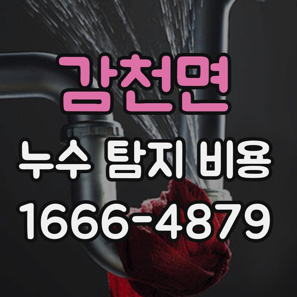 감천면 누수 탐지 비용