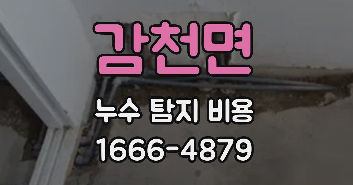 감천면 누수 탐지 비용