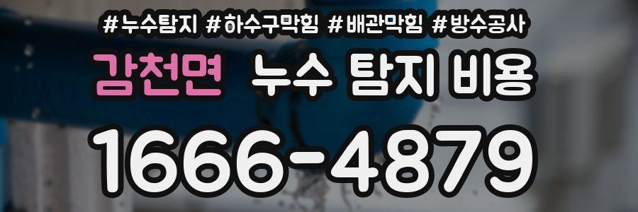 감천면 누수 탐지 비용