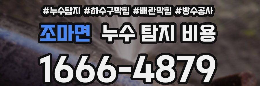 조마면 누수 탐지 비용