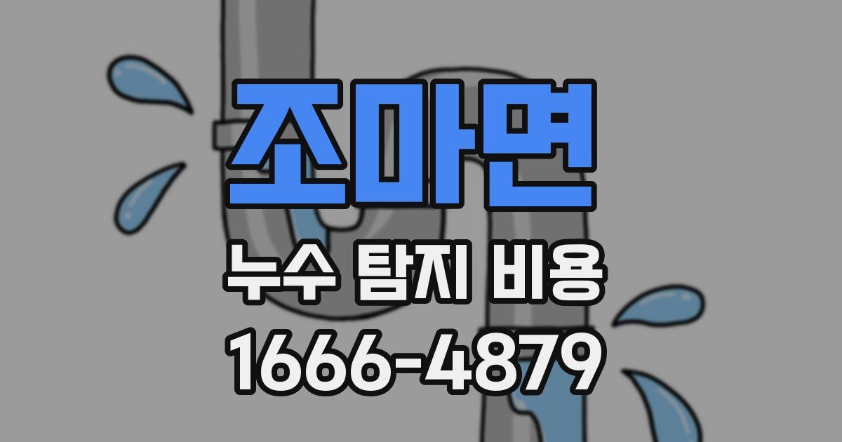 조마면 누수 탐지 비용