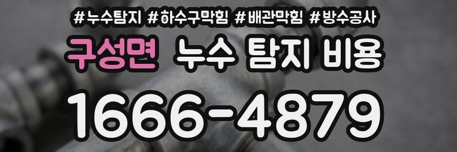 구성면 누수 탐지 비용