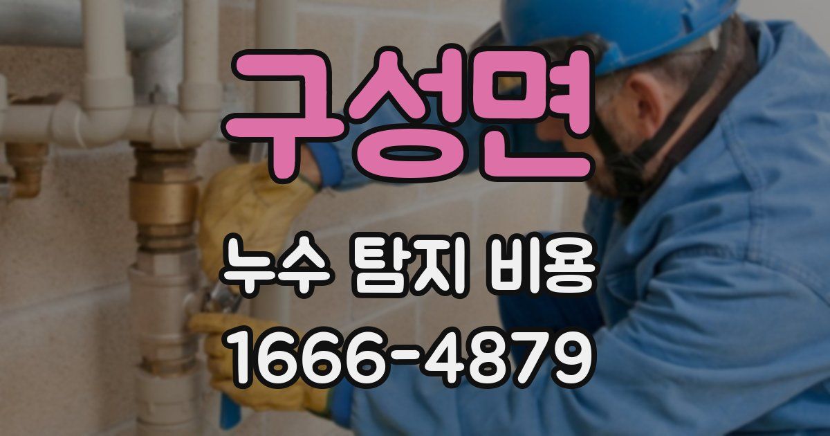 구성면 누수 탐지 비용