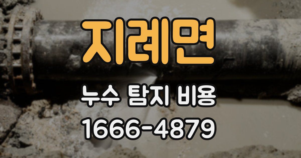 지례면 누수 탐지 비용